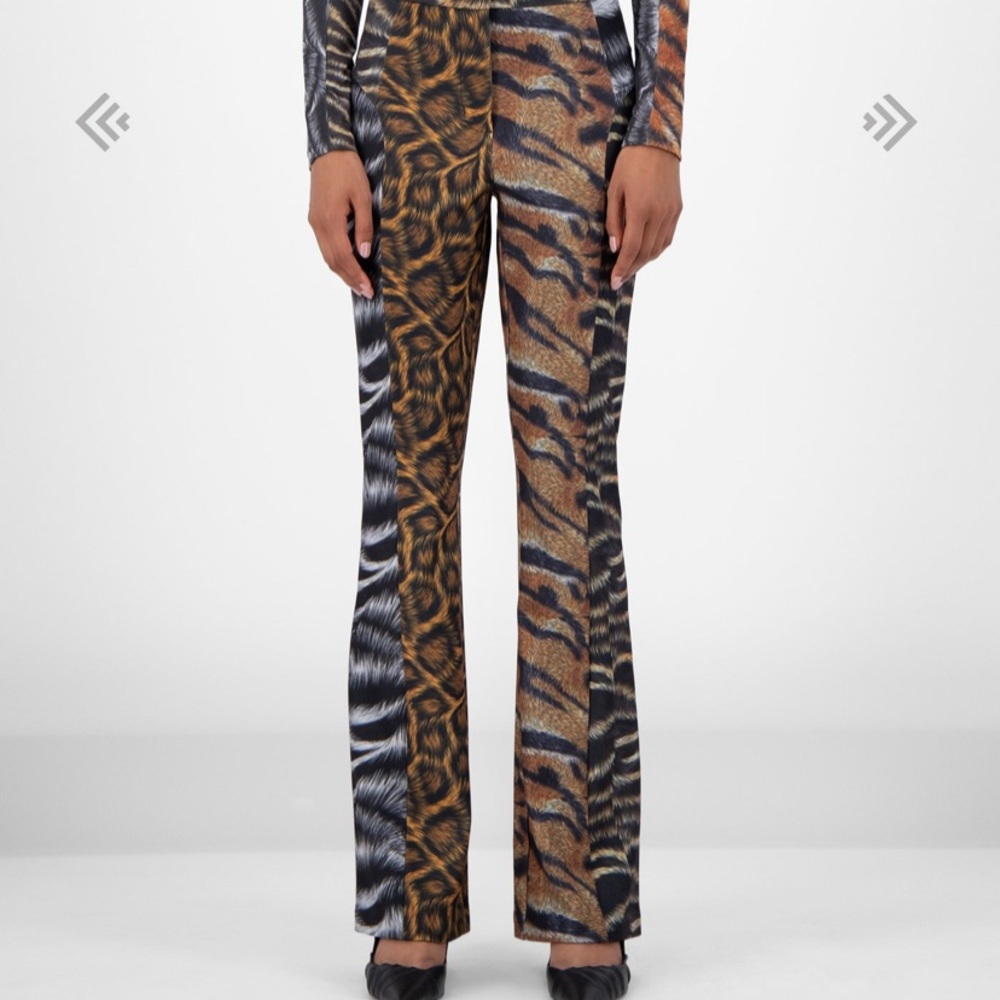 Zebra Cavalli Animal Print trouser Pants